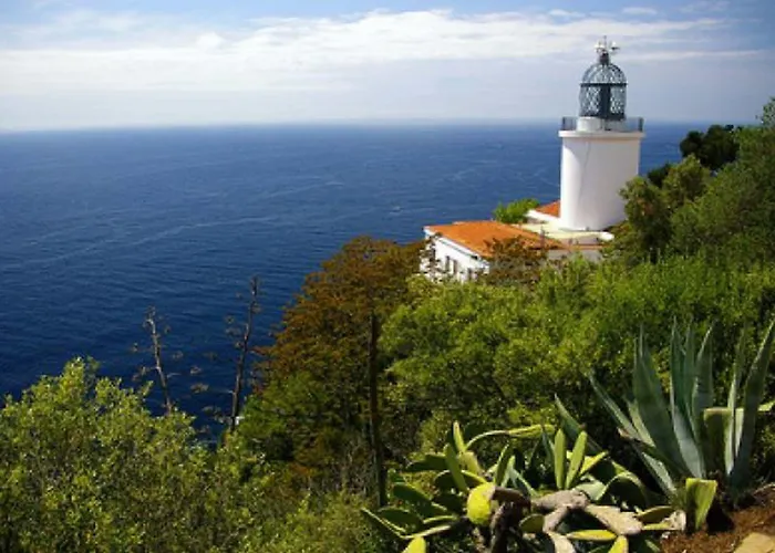 Medium Claramar Hotel Platja d'Aro